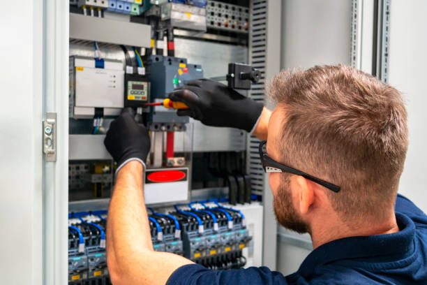 Best Electric Panel Repair  in Snow Hill, MD
